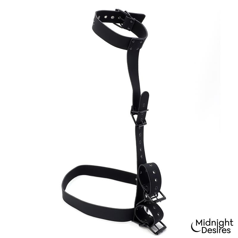 Collar and Wrist Cuffs Body Restraint Set