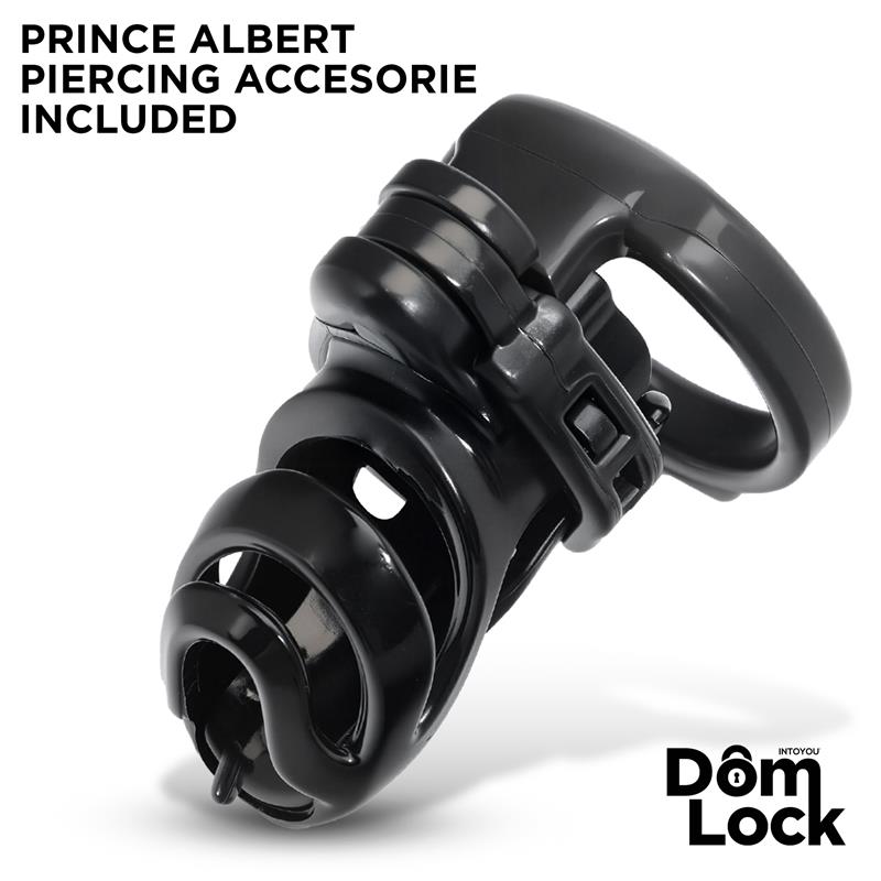 Detention Chastity Cage with Accessory for Prince Albert