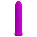 Curtis Bullet Vibrator USB