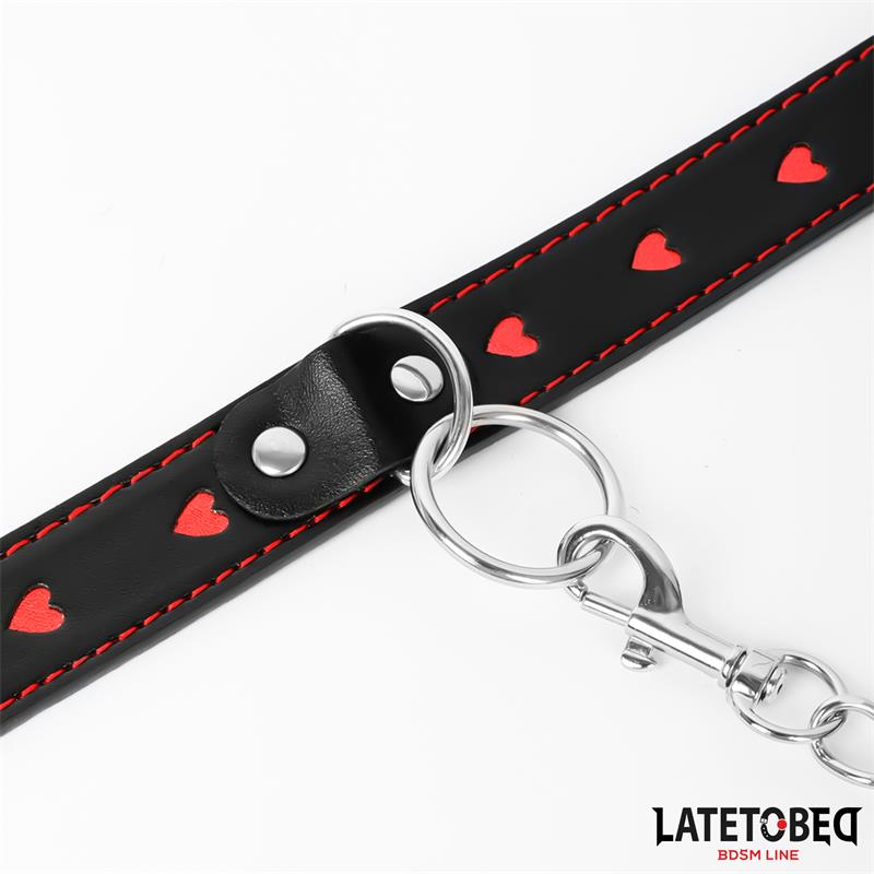 collar with Leash 52 cm