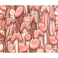 Rectangular Penis PC mat 22 x 18 cm