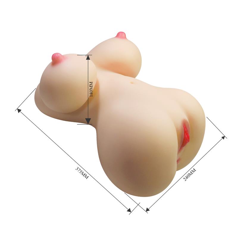 Masturbator Vagina and Ass 71 kg