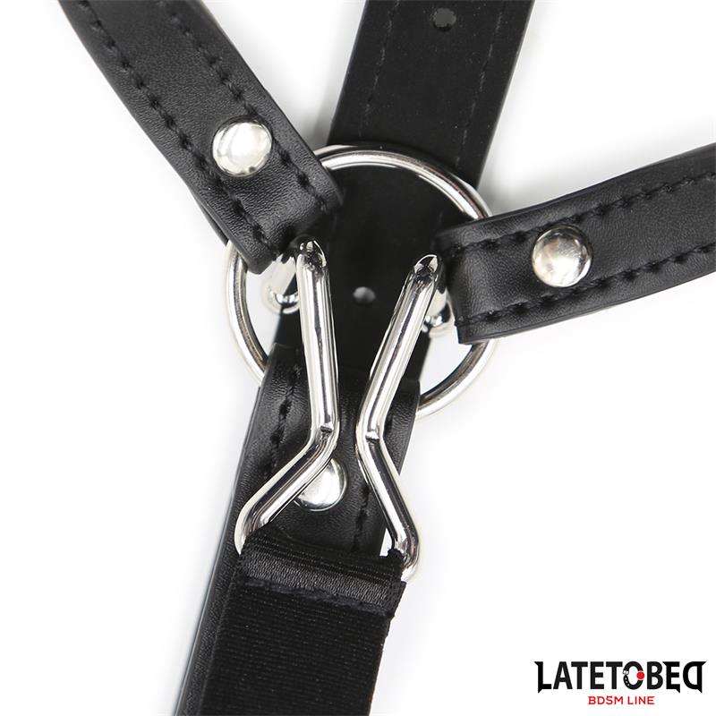 Head Harness with Ball Gag and Nose Hook