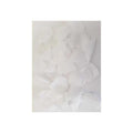 100 Petals White